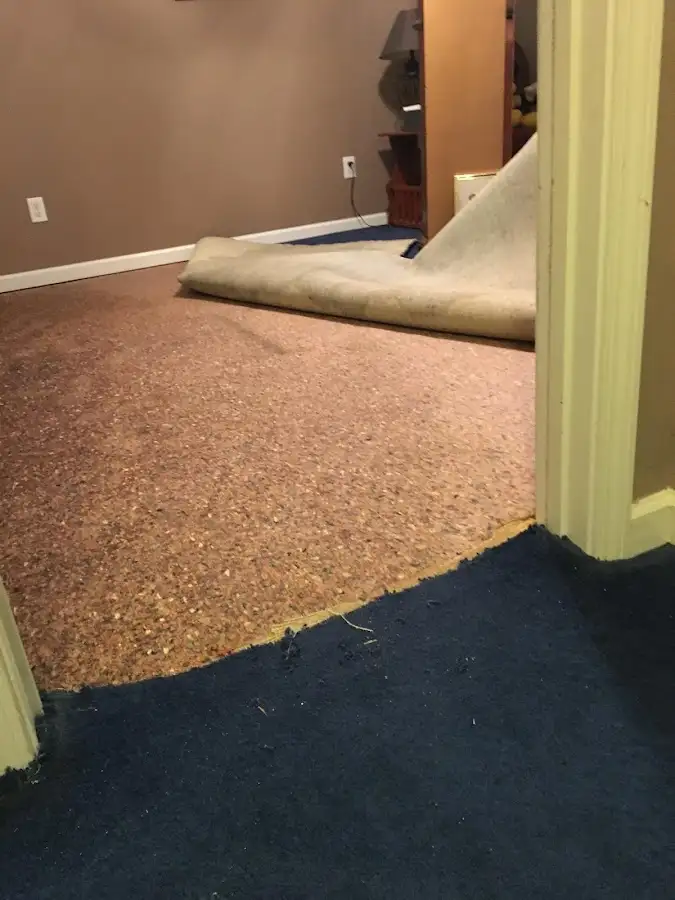 Carpet pad removal revealing water damage during Water Mitigation Services in White Center
