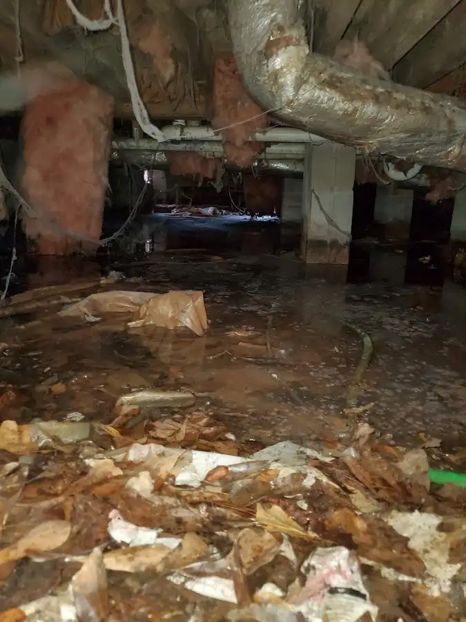 Crawl space flood assessment for Leak Detection & Repair in White Center