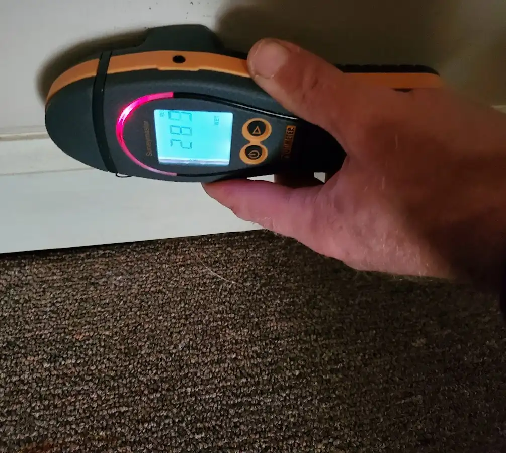 Moisture detection at baseboard during Sewage Cleanup & Sanitation in White Center